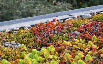 the cost of Marybank green roof installation