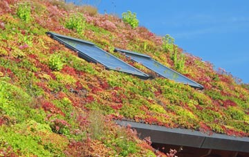Marybank living roof systems